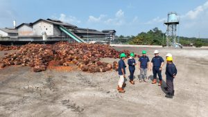 Sekretaris PTPN IV Regional IV Jambi-Sumbar, Muhammad Ridwan, menyampaikan bahwa peningkatan produksi tersebut terjadi secara merata di seluruh kebun kelapa sawit yang tersebar di Provinsi Jambi dan Sumatera Barat