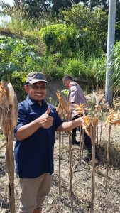 PTPN IV Regional IV Kebun Tanjung Lebar saat ini juga langsung bergerak cepat melakukan proses penanaman kembali untuk yang ke-3 kalinya