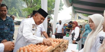 Intervensi Harga