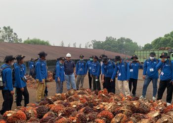 Manajer Kebun Tanjung Lebar, Delvi, mengatakan bahwa dukungan perusahaan dalam kegiatan tersebut merupakan bagian dari upaya meningkatkan kompetensi petani, terutama dalam pemeliharaan tanaman dan penanganan hasil panen