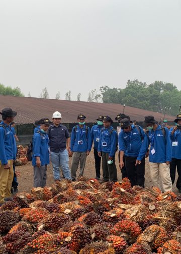 Manajer Kebun Tanjung Lebar, Delvi, mengatakan bahwa dukungan perusahaan dalam kegiatan tersebut merupakan bagian dari upaya meningkatkan kompetensi petani, terutama dalam pemeliharaan tanaman dan penanganan hasil panen