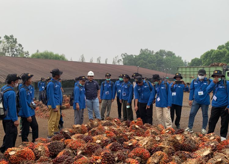 Manajer Kebun Tanjung Lebar, Delvi, mengatakan bahwa dukungan perusahaan dalam kegiatan tersebut merupakan bagian dari upaya meningkatkan kompetensi petani, terutama dalam pemeliharaan tanaman dan penanganan hasil panen